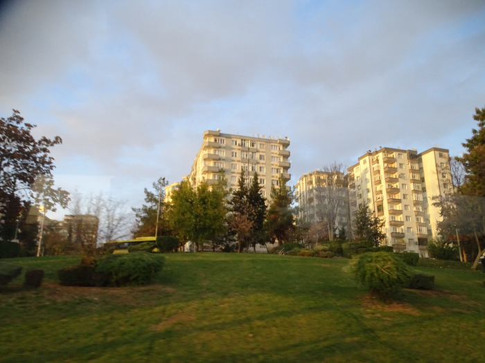 DSC00375 (700x525, 368Kb)