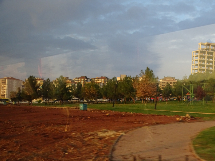 DSC00379 (700x525, 360Kb)