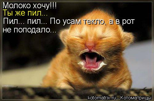 4743317_S4 (500x330, 32Kb)