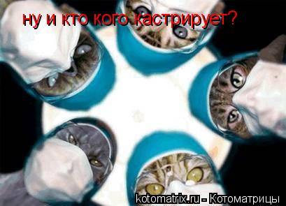 4743317_tq (409x295, 22Kb)