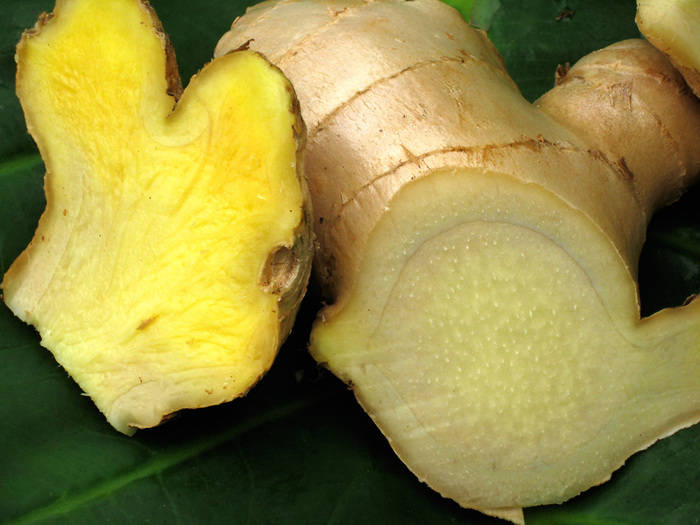2627134_ginger1 (700x525, 150Kb)