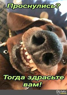 4743317_11d6ca5dd9e6cb8e9c699f0e2dd03306 (236x333, 19Kb)