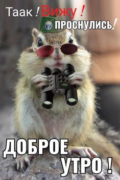 4743317_32b416cfae98b17c41732c2d36b21d0c (235x353, 19Kb)