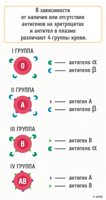 1213615-28137710-2-0-1497973003-1497973016-650-1-1497973016-650-0c369e17e2-1498124277 (370x700, 158Kb)