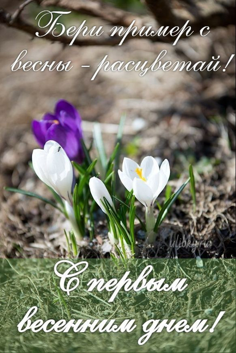 1707314551_d6289652aeb7dbcf73ce7bdb3d773117 (1) (468x700, 354Kb)