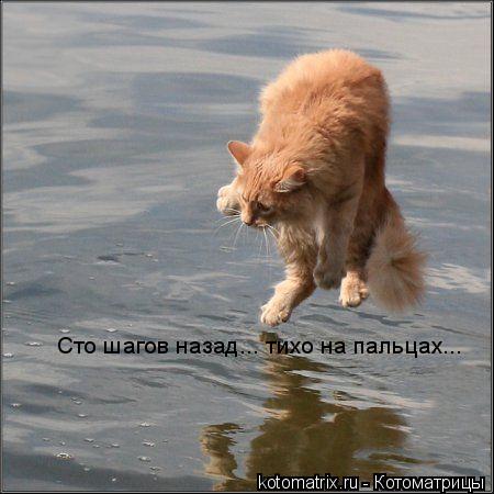 4743317_k5 (450x450, 34Kb)