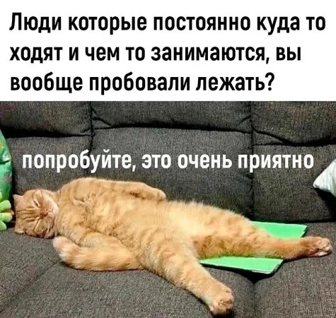 4743317_i_jpg5 (475x450, 99Kb)