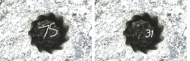 7290692_29_02_24g__Kamen_s_fig__otv__1_1 (620x200, 69Kb)