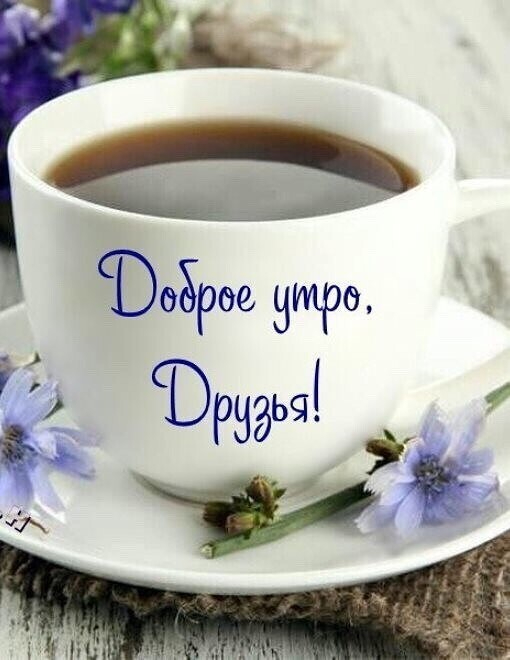   (510x660, 169Kb)