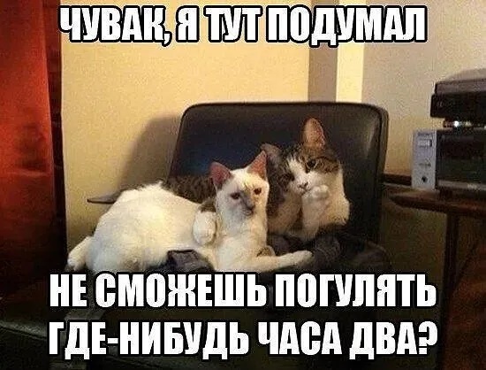 4743317_i_1_ (550x418, 90Kb)
