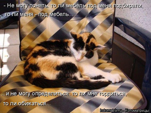 4743317_Mv (640x480, 68Kb)