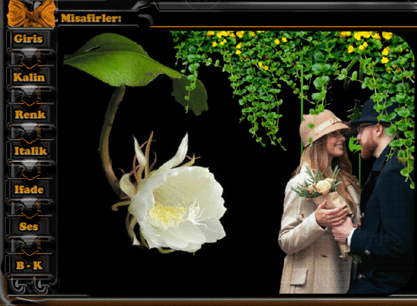 oie_overlay1 (596x438, 229Kb)