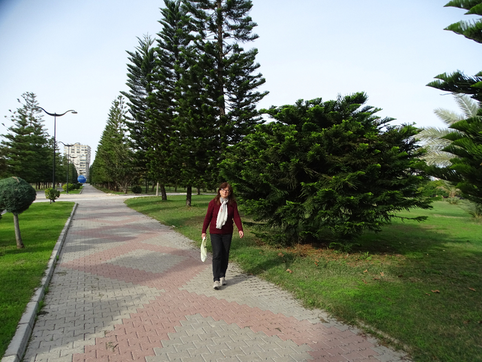 DSC00416 (700x525, 464Kb)