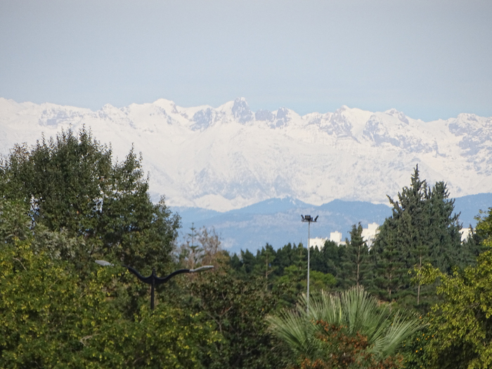 DSC00428 (700x525, 395Kb)