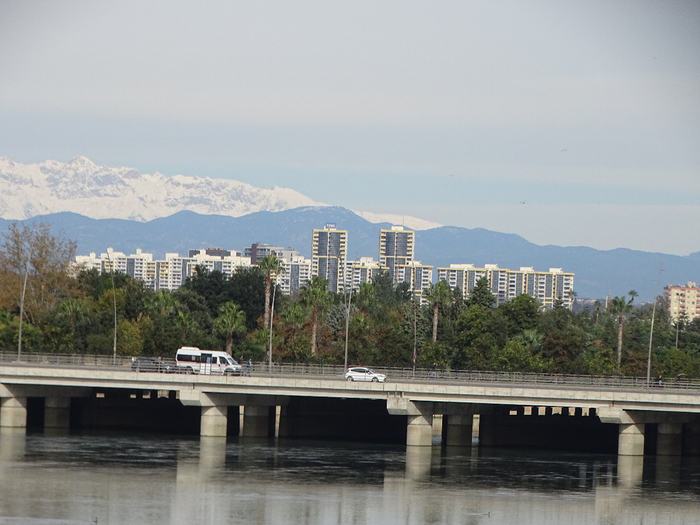 DSC00435 (700x525, 346Kb)