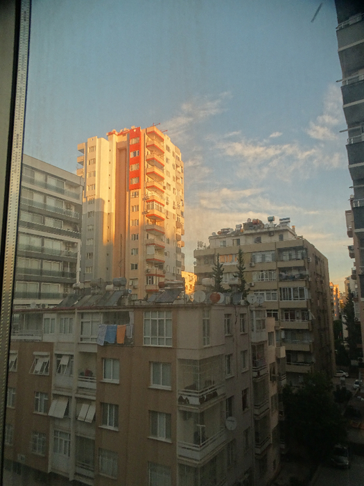 DSC00464 (525x700, 381Kb)