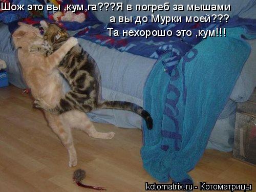 4743317_Yf (500x375, 36Kb)