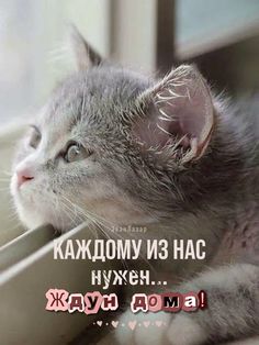 4743317_2c151f728779d9b0f627fd8a61c13566 (236x314, 15Kb)