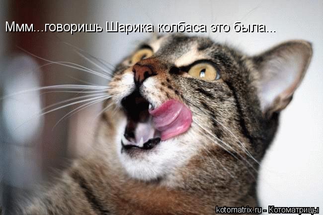 4743317_4l (650x433, 44Kb)