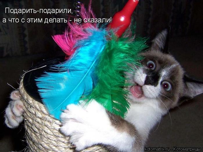 4743317_ru (700x524, 59Kb)