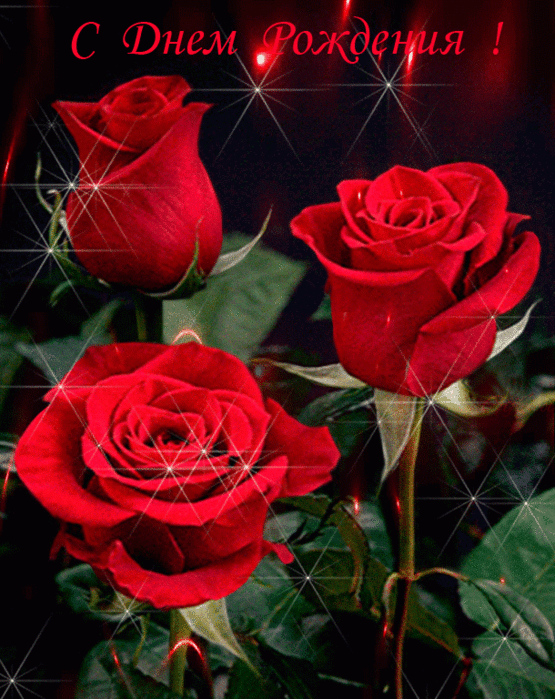 157050229_S_dnyom_rozhdeniya (555x699, 1099Kb)
