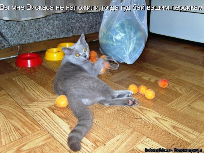 4743317_Wm (700x524, 65Kb)
