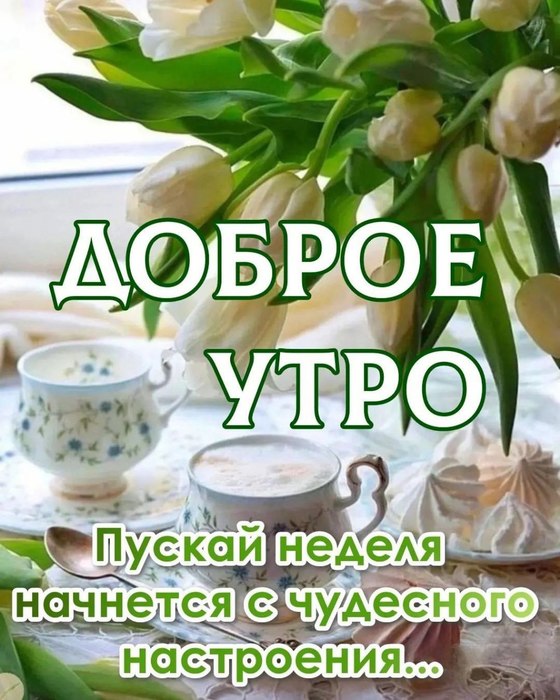 IMG-e9f0f2af4113b7b83b03d42f99e1fafb-V (560x700, 98Kb)