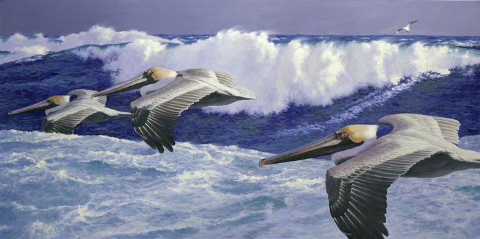 SeacoastPelicans-WaterBirds-1 (700x349, 246Kb)