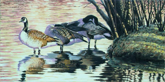 EveningGeese-WaterBirds-1 (700x348, 218Kb)