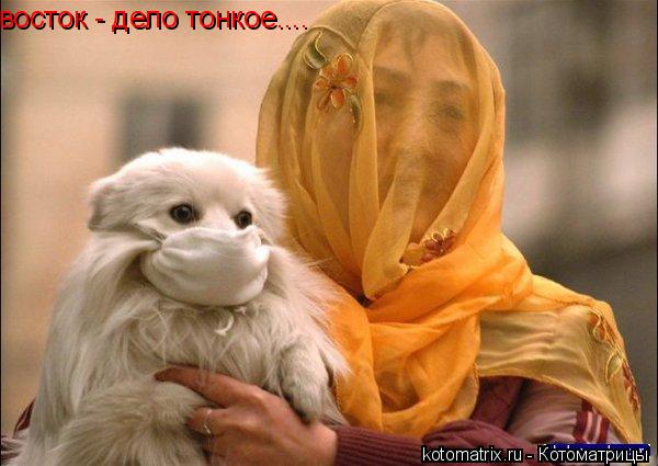 4743317_P (600x425, 40Kb)