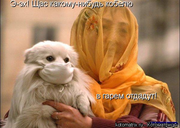 4743317_BX (600x425, 43Kb)