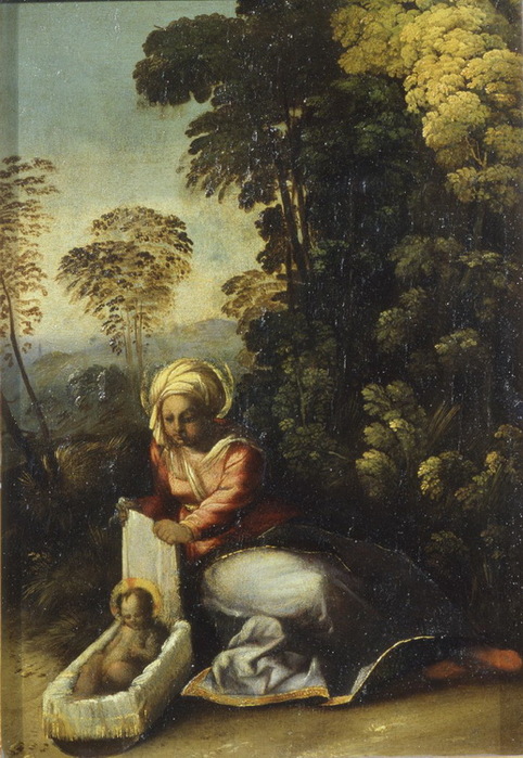 1516-1517   ,   Zingarella. , . 50 x 34 . Parma, Galleria Nazionale (482x700, 145Kb)