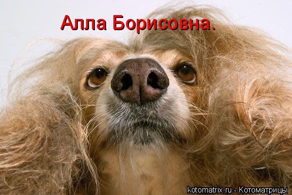 4743317_3S (600x401, 53Kb)
