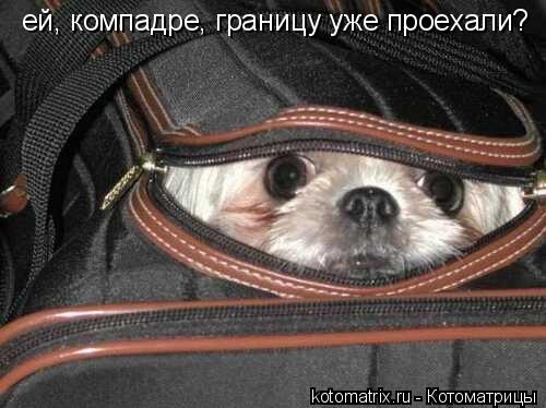 4743317_sK (500x374, 39Kb)
