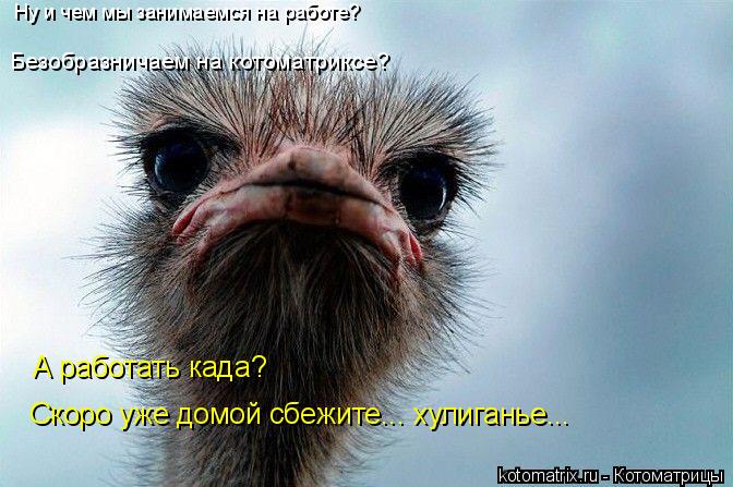 4743317_BS (672x447, 61Kb)