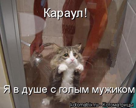4743317_hM (446x355, 26Kb)