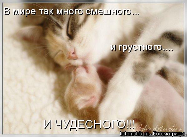 4743317_Ek (600x438, 40Kb)