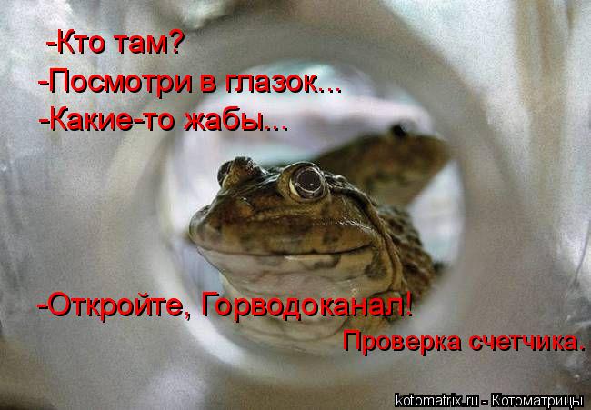 4743317_W (650x451, 48Kb)