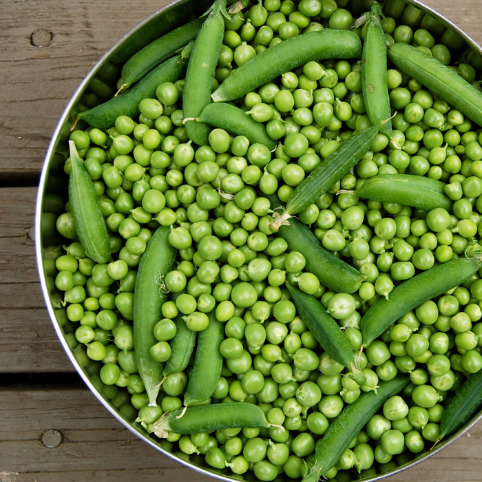 Peas.cup (700x700, 705Kb)