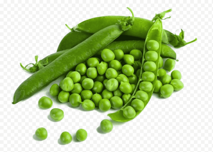 sticker-png-snow-pea-vegetable-green-pea-split-pea-mattar-paneer-can-bean (700x498, 276Kb)