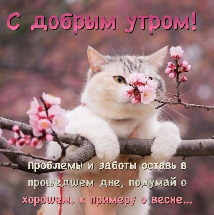 4743317_image20190325 (696x700, 306Kb)