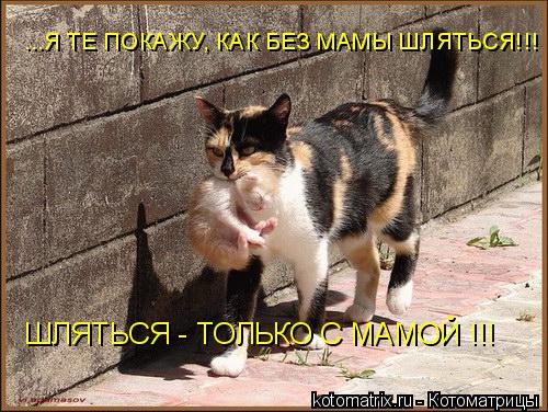 4743317_tq (500x376, 59Kb)