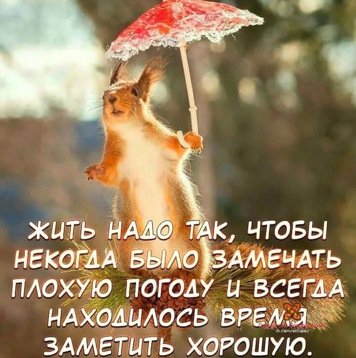 4743317_i_webprpp (697x700, 166Kb)