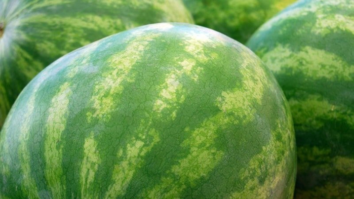 size-watermelons (700x393, 287Kb)
