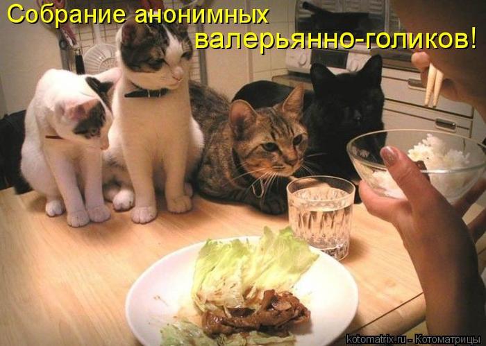 4743317_hP (700x499, 55Kb)