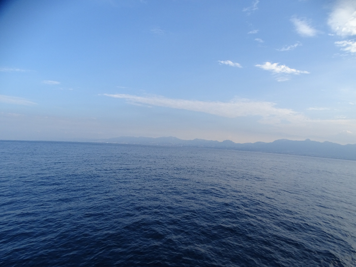 DSC00387 (700x525, 307Kb)