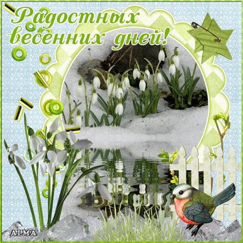3f260ba38161186d0cf0994b70a6a185 (500x500, 349Kb)