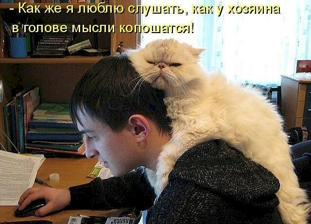 4743317_d4f82548 (640x460, 76Kb)
