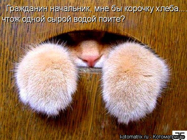 4743317_wS (600x450, 63Kb)