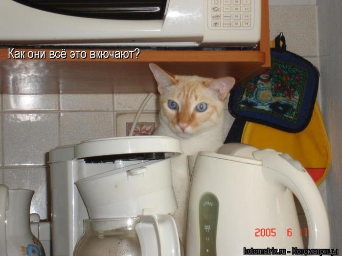4743317_l7 (700x524, 42Kb)